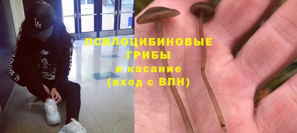 мяу мяу мука Карталы