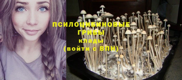 кристаллы Карпинск