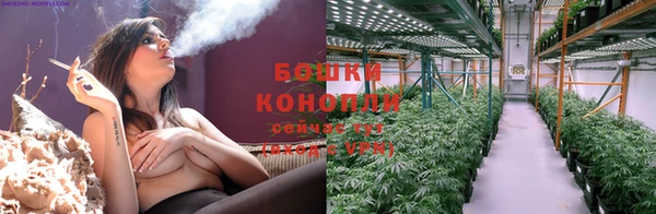 мяу мяу мука Карталы